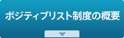 ポジティブリスト制度の概要